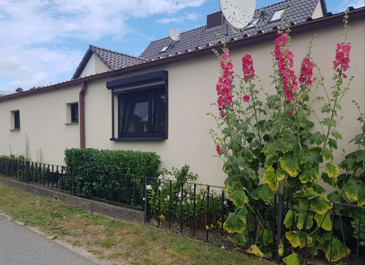Ferienhaus An Der Ostsee Rerik Zewnętrze zdjęcie